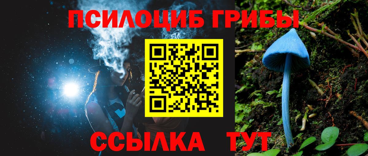 Псилоцибиновые грибы Cubensis Якутск